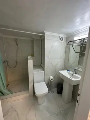 a bathroom with a shower and a toilet and a sink at Lilia Apartments in Athens
