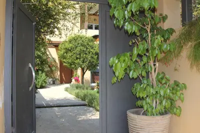 a plant in a pot in front of a door at Lida Garden Loft in Anavissos
