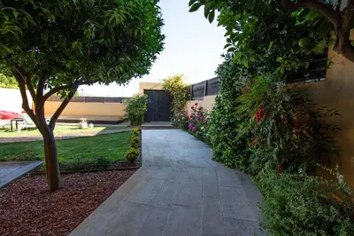 a walkway in front of a building with a tree at Lida Garden Loft in Anavissos
