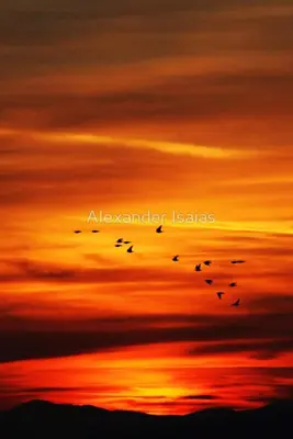 a group of birds flying in the sky at sunset at Top Floor Apt, View, 2BD, Parking in Athens