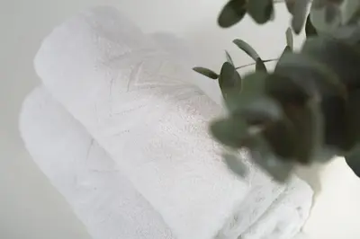 a white towel sitting next to a green plant at Central, Quiet & Comfortable Apartment in Athens