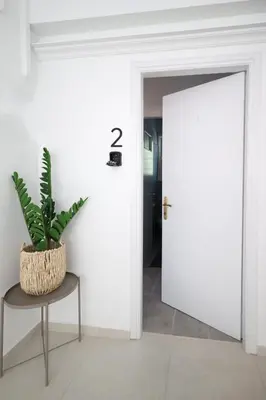 a plant sitting on a table next to a door at Muse Studios & Apartments Aegina in Agia Marina Aegina