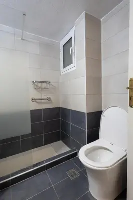 a bathroom with a toilet and a shower at Comfort Apartment with 2 Bedrooms in Athens
