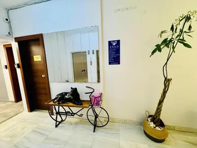 a bike parked in a room with a plant at Hera Luxury Suite by Zeus Suites in Athens