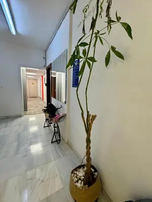 a potted plant in a room with a hallway at Hera Luxury Suite by Zeus Suites in Athens