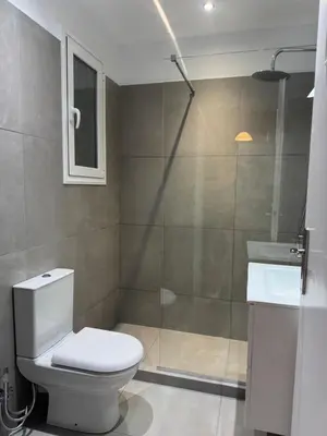 a bathroom with a shower and a toilet and a sink at Arisa Apartment in Athens next to Metro Station in Athens