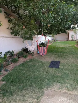 two hammocks hanging from a tree in a yard at Family apartment mountain and sea in Athens