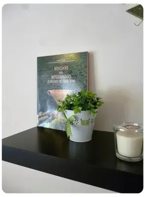 a book and a plant on a shelf with a candle at Cute apartment Center of Athens Petralona station in Athens