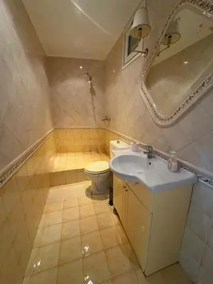 a bathroom with a toilet and a sink and a mirror at Summer villa Levon in Lagonissi