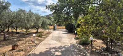 a path in a garden with trees and bushes at FarmHouse near Airport in Paianía