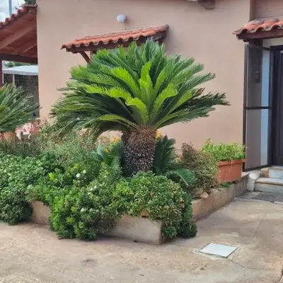 FarmHouse near Airport