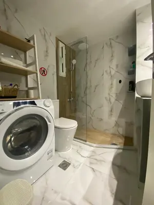 a bathroom with a washing machine and a toilet at Golden Nest Apartment in Athens