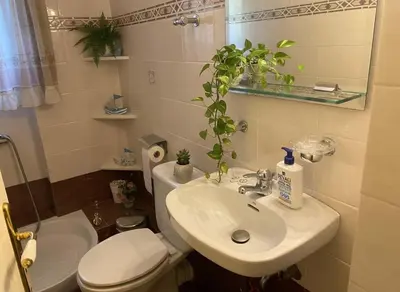a bathroom with a toilet and a sink with a plant on it at Athenas Residence 3-Bedroom Apartment in Alimos in Athens