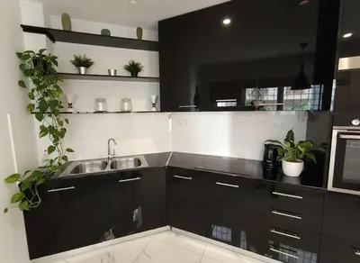 a kitchen with black cabinets and a sink and plants at Cozy 1-Bedroom Apartment in Pagkrati Close to Metro in Athens