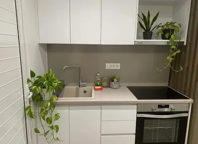 a kitchen with white cabinets and a sink and plants at Athens at Your Doorstep Chic Syntagma Apartment in Athens