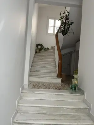 a hallway with stairs with a plant and a window at Athens Classic 2- Bedroom Apartment in Athens