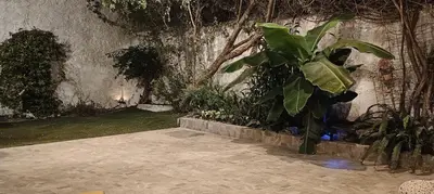a plant sitting next to a stone wall at CityZen Apartment in Athens