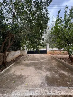 an empty parking lot with trees and a fence at The Ioustinianou Residence in Athens