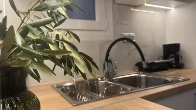 a kitchen sink with a plant in a vase next to it at Cozy apartment 10 min to acropolis in Athens