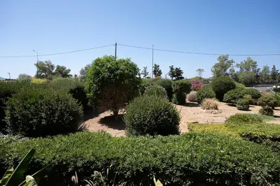 a garden with lots of bushes and trees at Beachfront Lagonisi Apt 1 Minute From Grand Resort in Kalívia Thorikoú