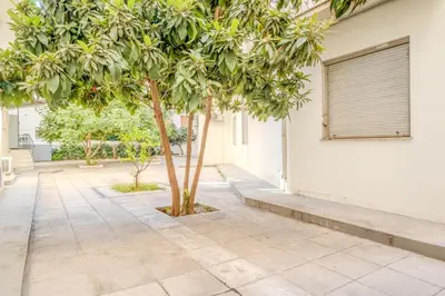 a tree on a sidewalk next to a building at The Athenian Elegance , Luxury 2 br near Hilton District in Athens