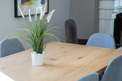 a potted plant sitting on top of a wooden table at Waves of Comfort Premium 3-Bd Stay in Alimos in Athens