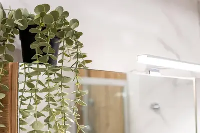 a plant in a vase sitting next to a mirror at Elysian Lycabettus - Panorama in Athens