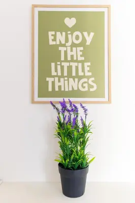 a plant in a black pot on a wall with a picture at Aiolos Alimos Riviera super luxury Grand suite with gym in Athens
