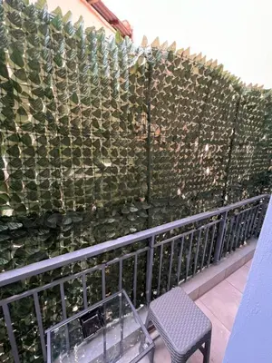 a wall of cacti on a balcony with a chair at Μοντέρνο στούντιο στη δάφνη in Athens