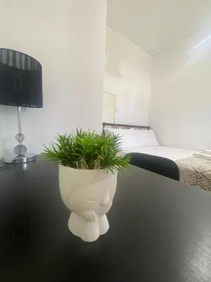 a white vase sitting on a table with a plant at Penthouse in apartment building, in the Center in Athens