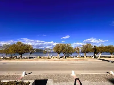 an empty street with trees and a body of water at Amelia luxury beachfront apartment near airport in Porto Rafti