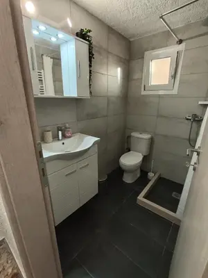a bathroom with a toilet and a sink and a mirror at Daskalio Waves Appartment Agapi in Dhaskalión