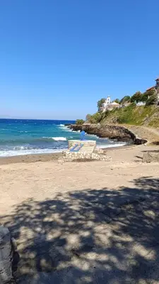 a shadow of a tree on a beach at Daskalio Waves Appartment Agapi in Dhaskalión