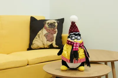 a parrot toy on a table in front of a dog at 2 BR Apartment with Sitcom Vibes VIPGreece in Athens