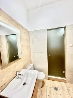 a bathroom with a sink and a toilet and a mirror at Bright and central apartment in Athens
