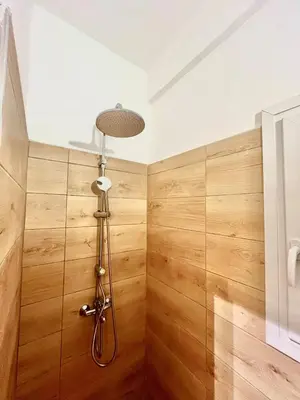 a shower in a bathroom with a wooden wall at Bright and central apartment in Athens