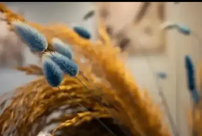 a group of blue feathers on the top of a vase at Detached Garden House in Athens