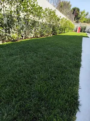 a yard with green grass and a hedge at Αriadne in Porto Rafti