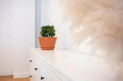 a plant sitting on top of a white cabinet at Navarino Athenian Nest in Athens