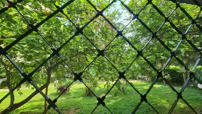 a view through a chain link fence of a tree at Stella House near Metropolitan & Holargos Metro Station in Athens