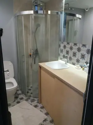 a bathroom with a shower and a sink and a toilet at 7th floor bright penthouse in quiet pedestrian in Athens