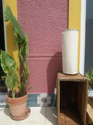 a pair of plants sitting on a stand next to a wall at 7th floor bright penthouse in quiet pedestrian in Athens