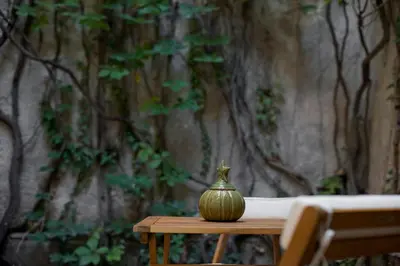 a small pot sitting on a table in front of a tree at Alex Guesthouse Stylish Studio near the Sea in Piraeus
