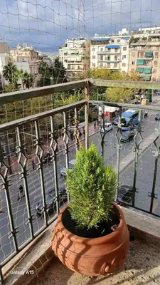 a plant in a pot sitting on a balcony at Cozy Classic Residence 