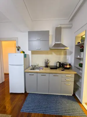 a kitchen with a white refrigerator and a sink at evaxila \u5496\u5561\u5c9b in Glyka Nera