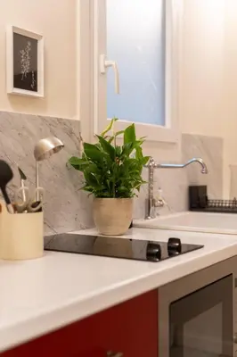 a kitchen counter with a potted plant on a sink at Cozy 1BR Apt near Acropolis & Metro In Koukaki in Athens