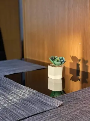 a potted plant sitting on top of a table at Goudi Athenian 4th floor Apartment in Athens