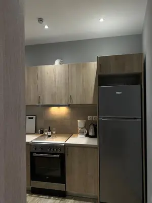 a kitchen with a black refrigerator and wooden cabinets at Voulis Apartment 2 in Athens