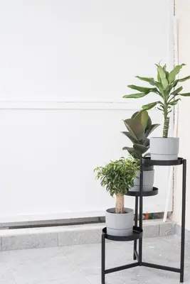 a plant stand with two potted plants on it at ANDIE Kallithea Apartment in Athens