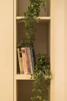 a book shelf with books and a plant at The Honeycomb Suite in Athens
